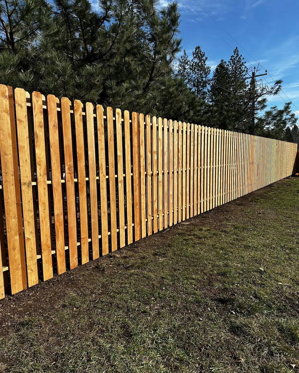 Shadow box cedar fence built by MC Fencing, with pines behind