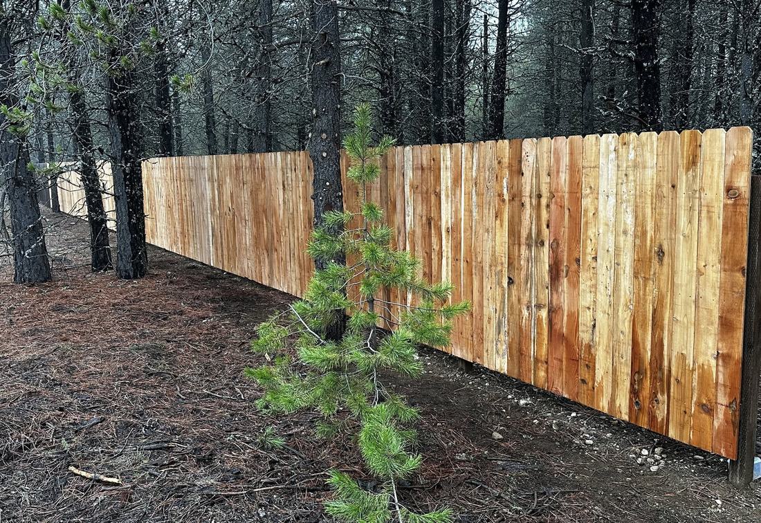 Cedar privacy fence on a wooded lot