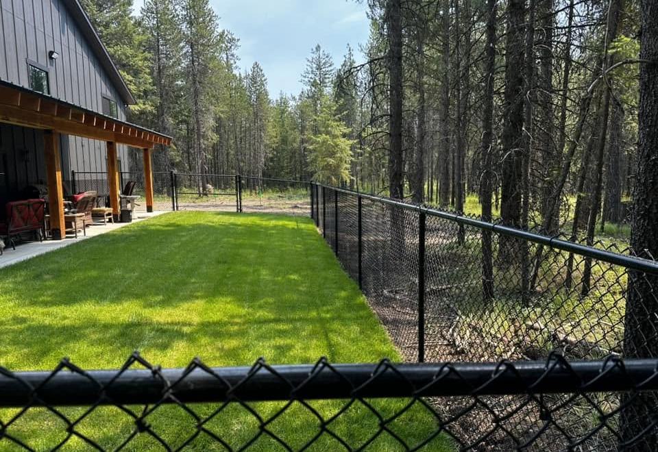 Black chain link fence around a shop among pine trees