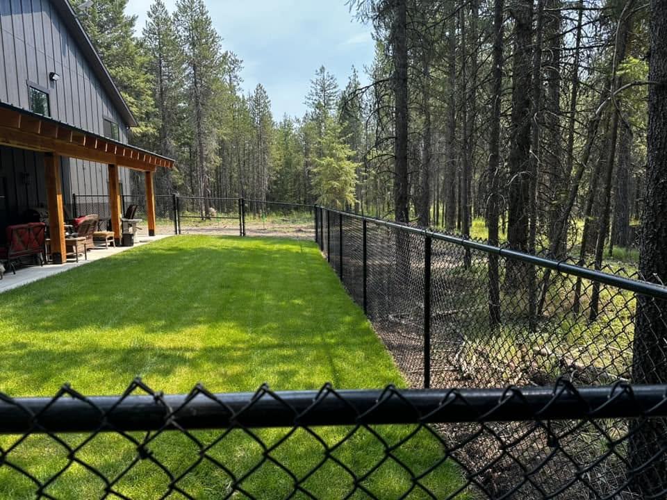 Black chain link fence enclosing a lawn beside a shop in the pines