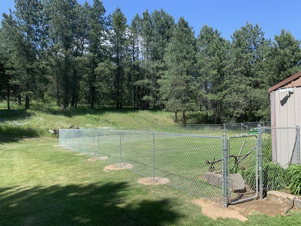 Galvanized chain link fence with a walk gate below a stand of pines