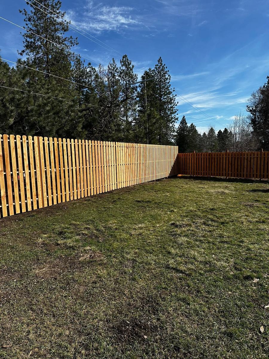 Shadow box cedar fence across an open lot with pines behind